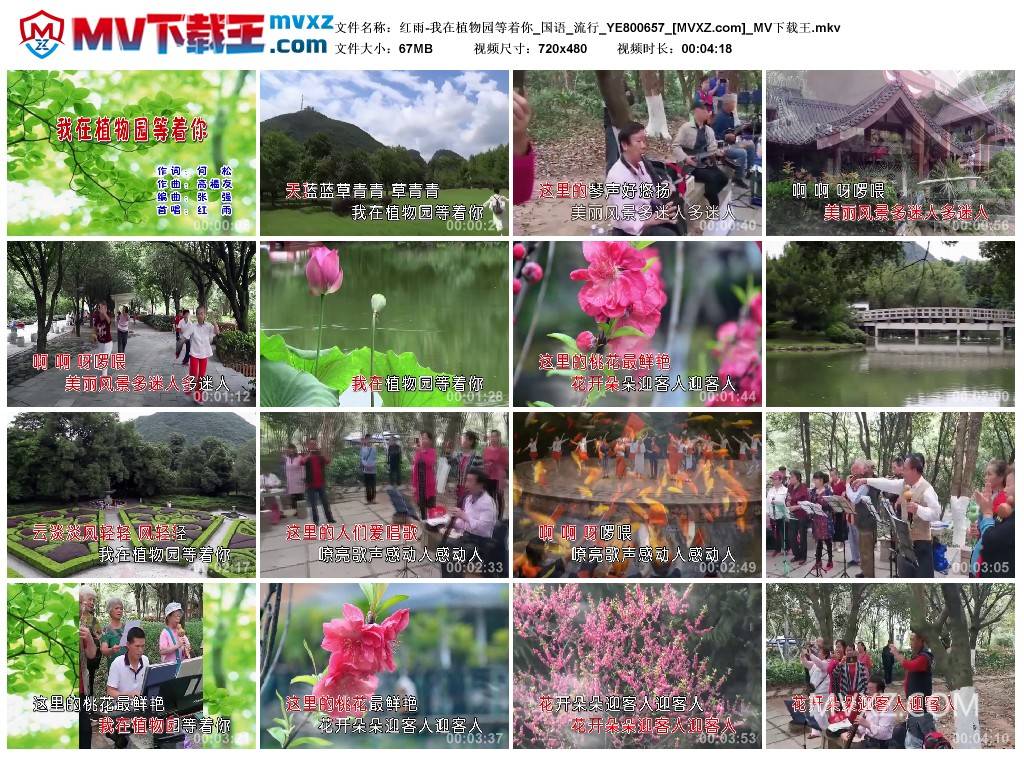 红雨-我在植物园等着你_国语_流行_YE800657
